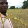 Bonface on the MACHICA rice fields.
